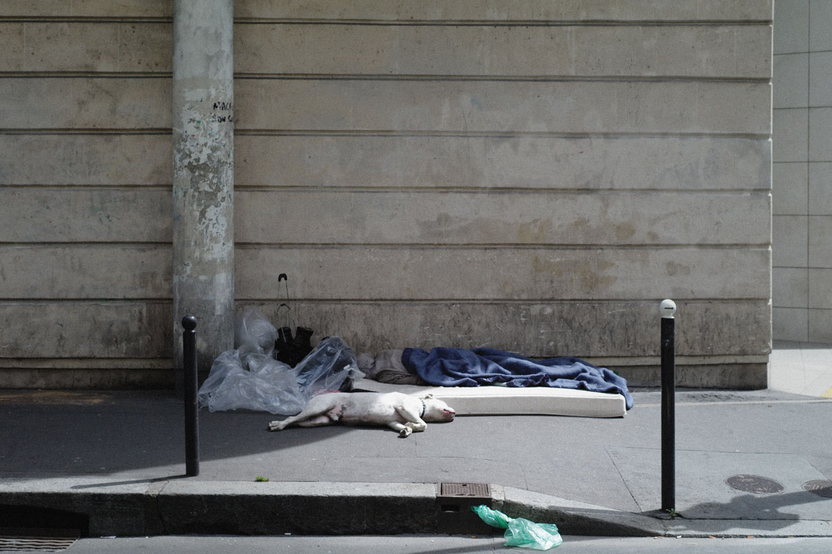 Lazy Dog Paris Ilk Flottante